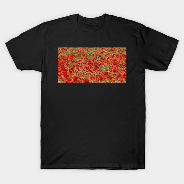 Field of poppys  near baslow in derbyshire  . T-Shirt by Simon-dell